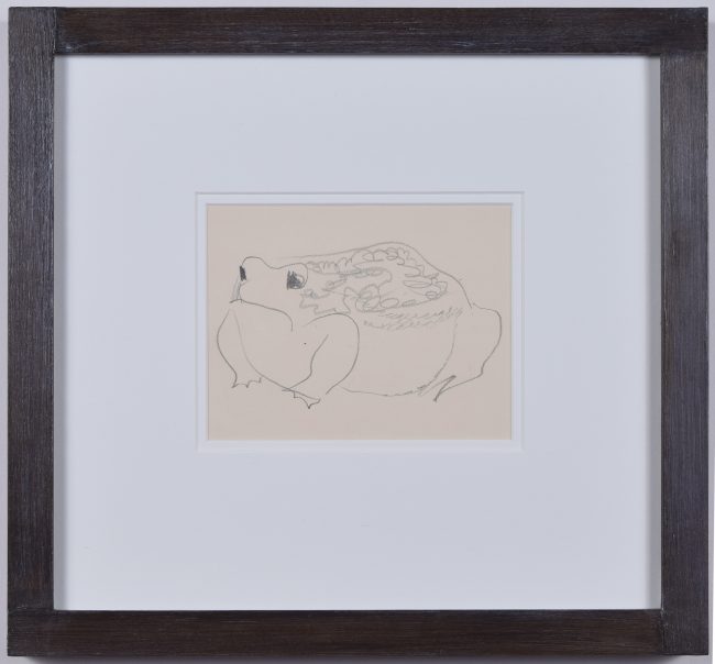 Clifford Ellis Frog pencil sketch new naturalist in Nicholson butt-jointed frame