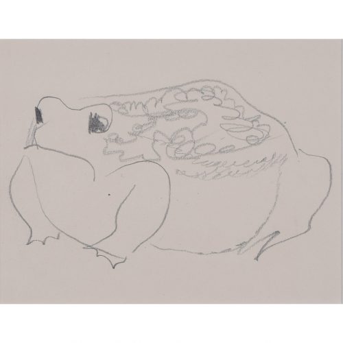 Clifford Ellis Frog pencil sketch new naturalist in Nicholson butt-jointed frame
