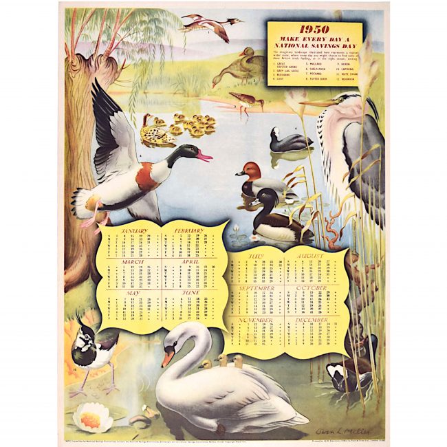 UK National Savings Poster 1950 Calendar Ducks Swans Birds Moorhen Owen Miller