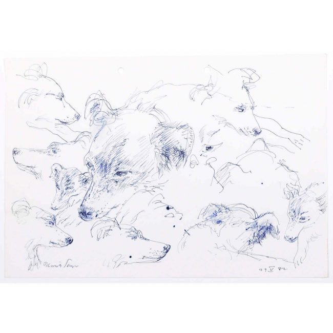 Dogs original pen and ink sketch Derrick Sayer for Beverley Nichols Cats ABC