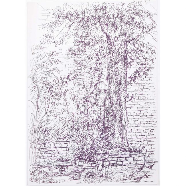 Tree original pen and ink sketch Derrick Sayer for Beverley Nichols Cats ABC