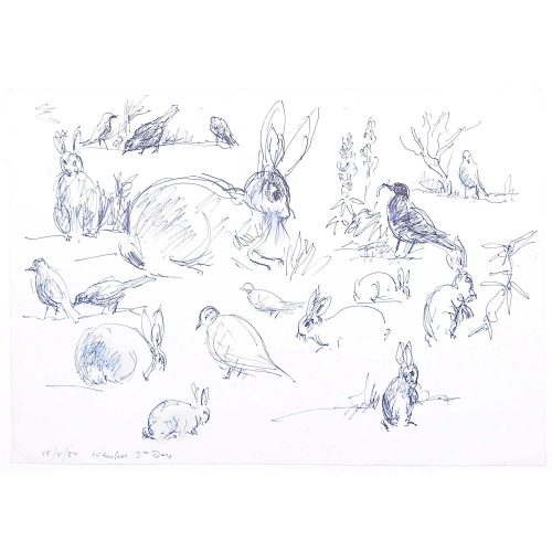 Derrick Sayer Rabbits for Beverley Nichols Cats ABS Pen and Ink Sketch