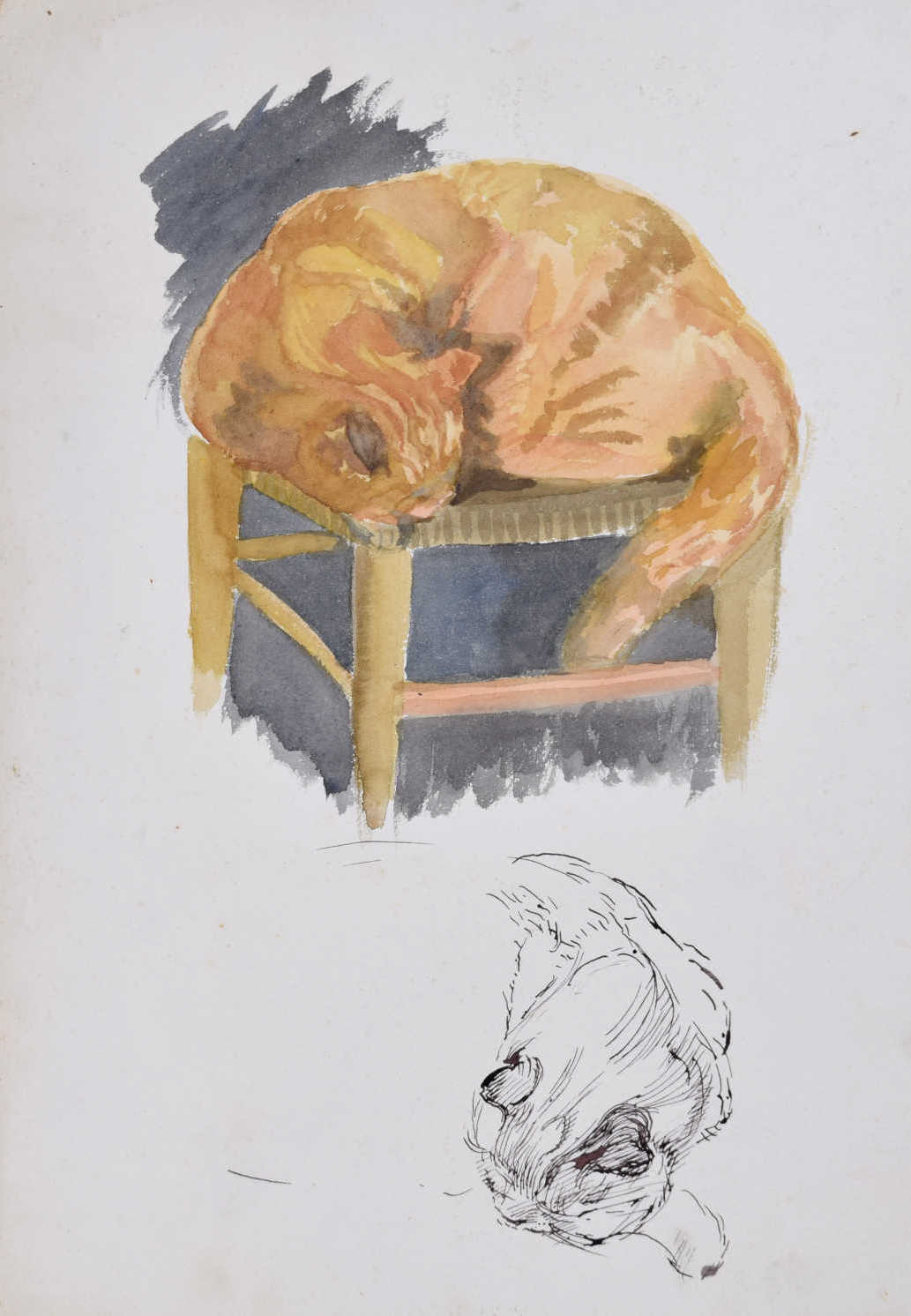 Hilary Hennes Miller, 'Cat Sleeping' (c.1940), Gouache, pen and ink on paper