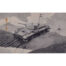 Vivian Bewick, Valentine Tank